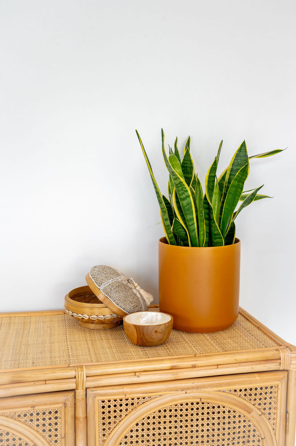 Oceana Shell Lidded Basket