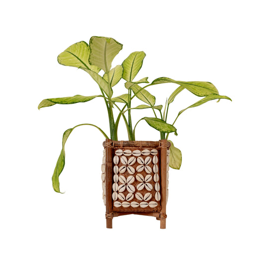 Nusa Shell Small Plant Stand
