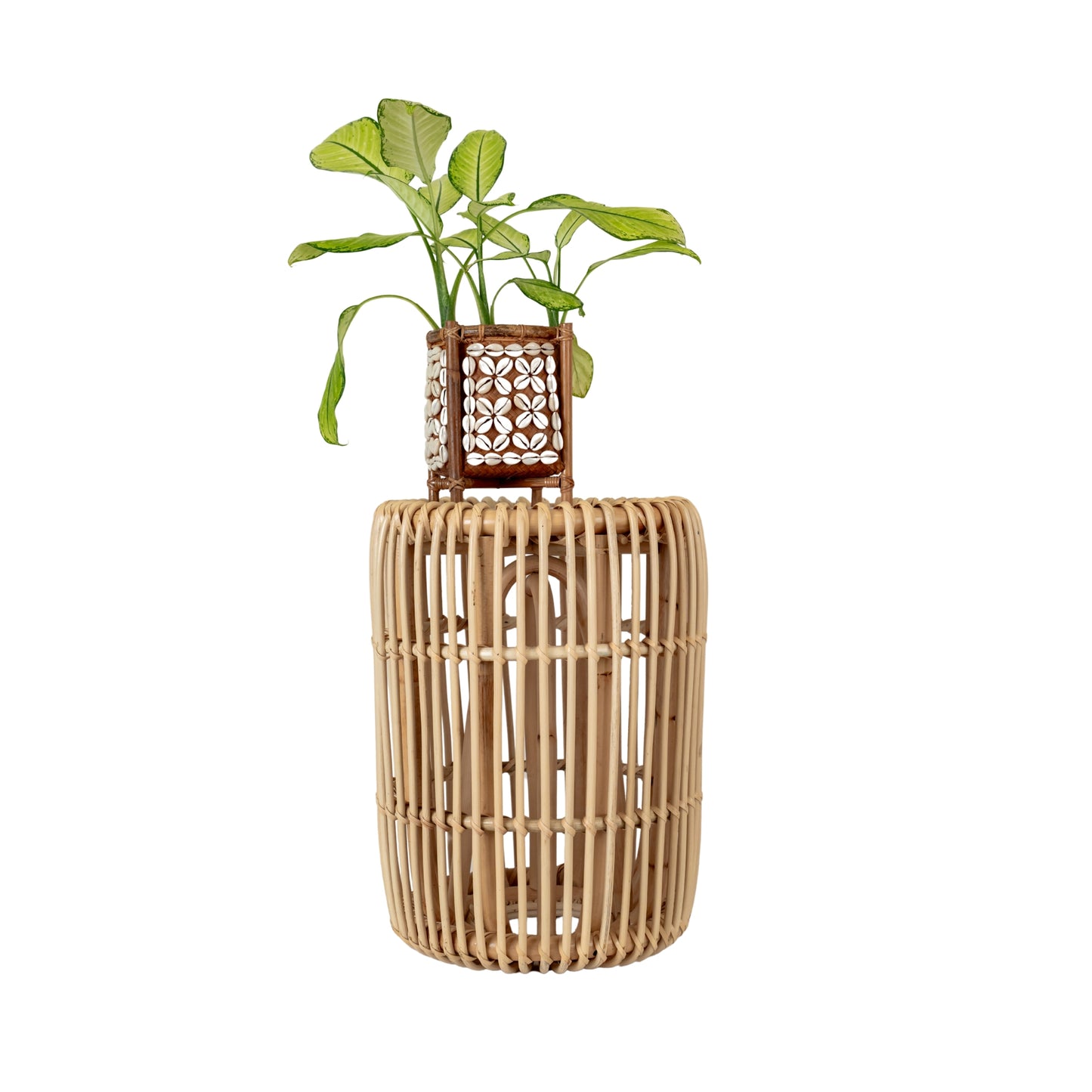 Nusa Shell Small Plant Stand
